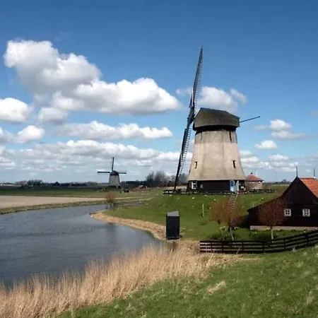 Pats Garden With Mini Cinema, Projector