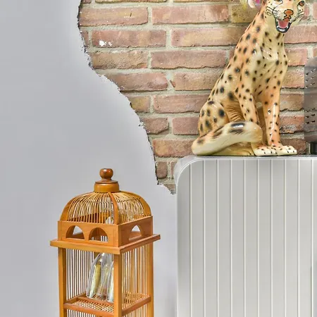 Pats Garden With Mini Cinema, Projector Alkmaar