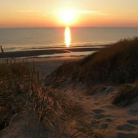 Pats Garden With Mini Cinema, Projector *