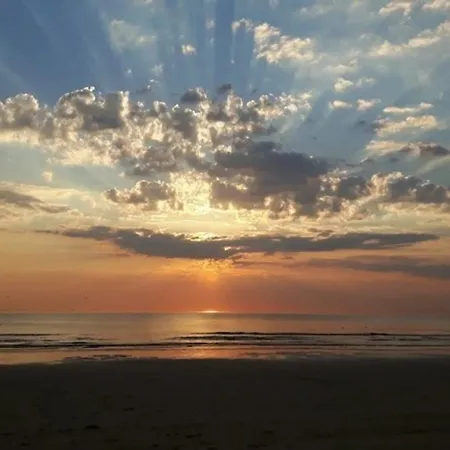 Apartamento Pats Garden With Mini Cinema, Projector Alkmaar