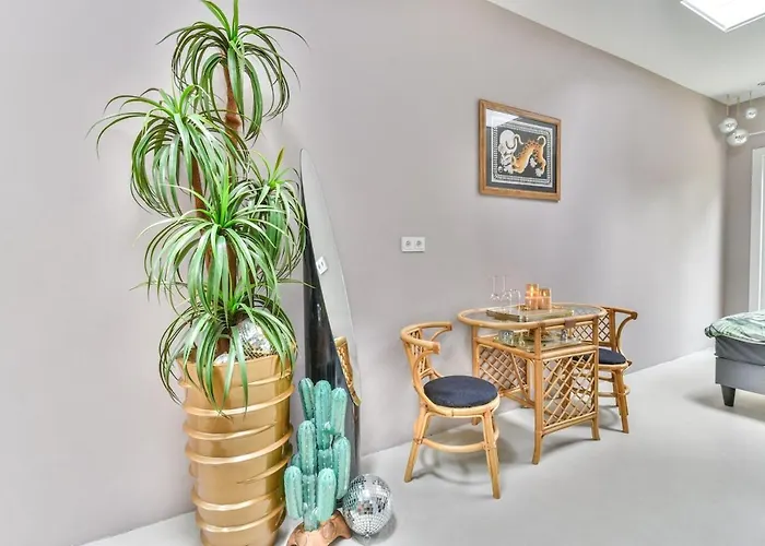 Pats Garden With Mini Cinema, Projector Alkmaar