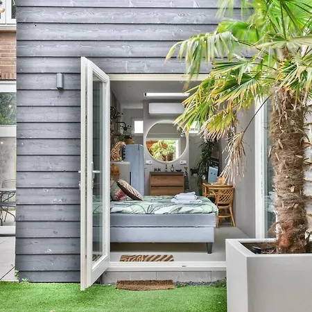 Pats Garden With Mini Cinema, Projector *