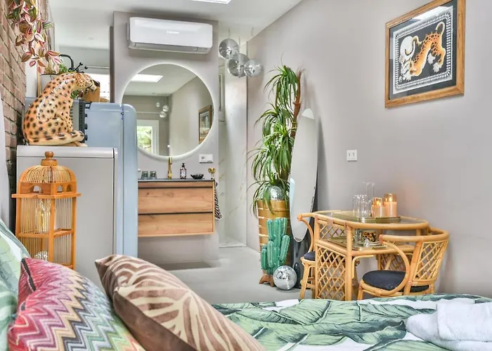 Pats Garden With Mini Cinema, Projector Alkmaar