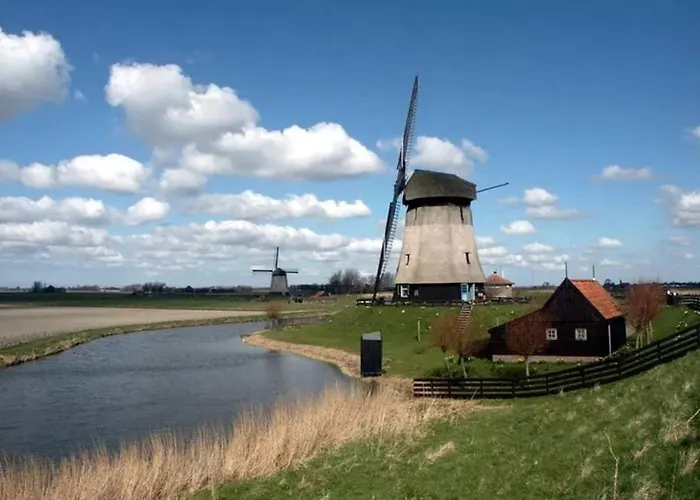 Pats Garden With Mini Cinema, Projector