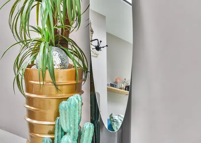 Pats Garden With Mini Cinema, Projector Alkmaar