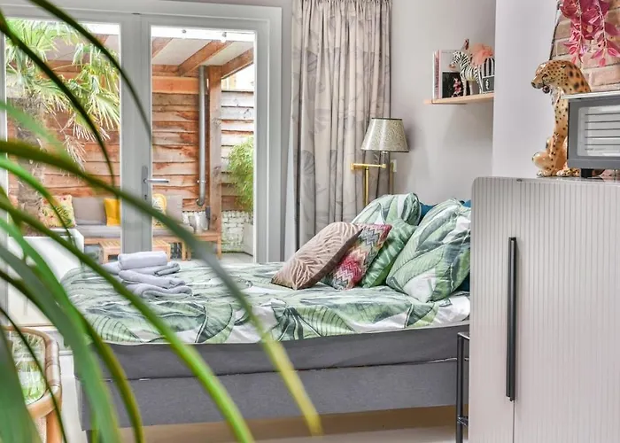 Pats Garden With Mini Cinema, Projector Alkmaar