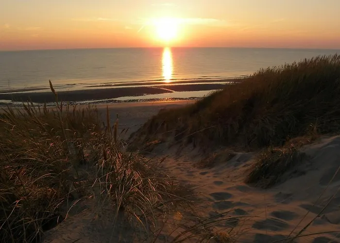 Pats Garden With Mini Cinema, Projector *