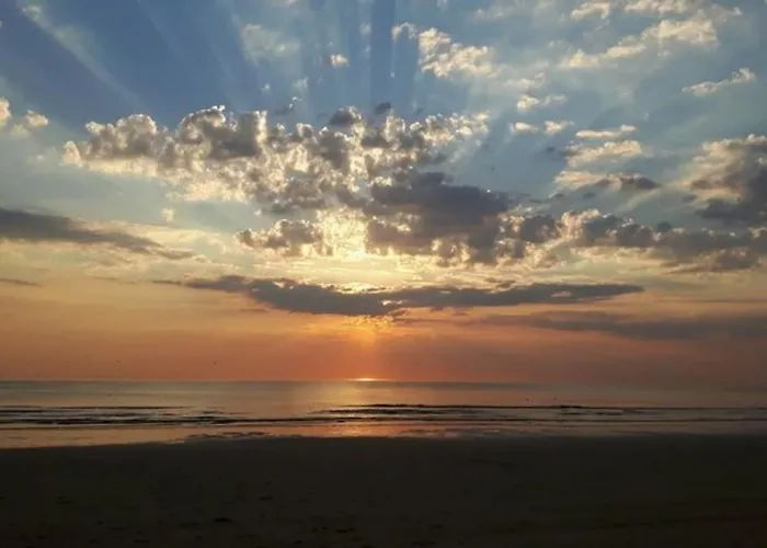 Appartement Pats Garden With Mini Cinema, Projector Alkmaar