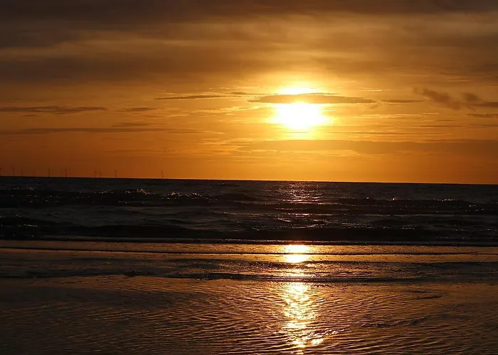 Pats Garden With Mini Cinema, Projector *